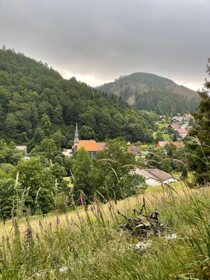 Gemuetliches Mit Kamin Und Wohnkueche Appartement